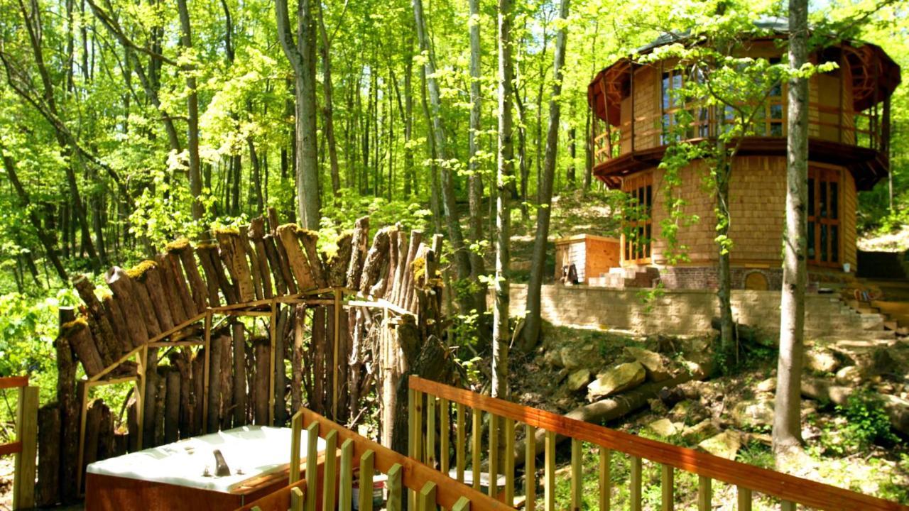 Lost River Hostel فرنتش ليك المظهر الخارجي الصورة