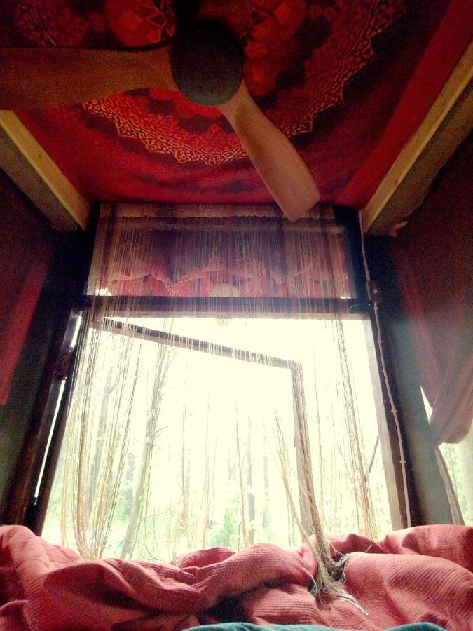 Lost River Hostel فرنتش ليك المظهر الخارجي الصورة
